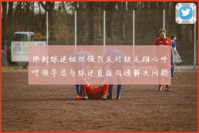 热刺球迷组织强烈反对缺乏雄心呼吁领导层与球迷直接沟通解决问题